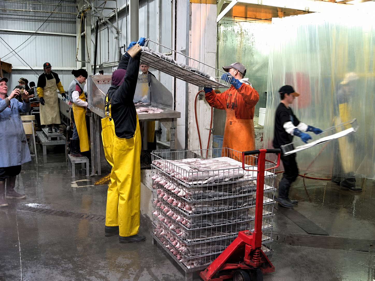Fish processor work in Alaska